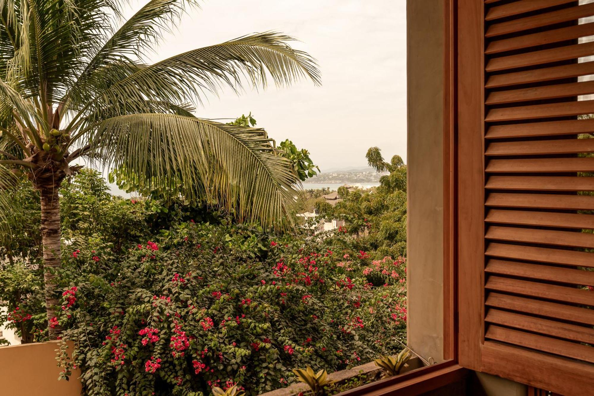 Villa Macarena Apartamentos Boutique - Adults Only Puerto Escondido  Chambre photo